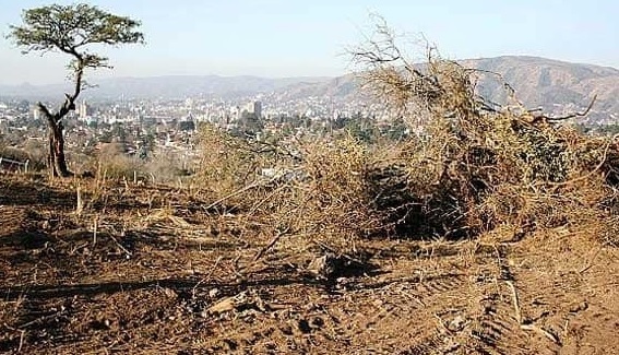eco vcp